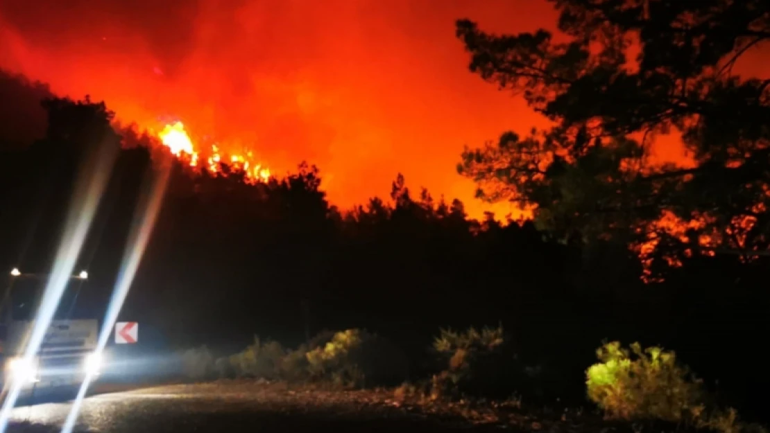 Kastamonu'da orman yangını