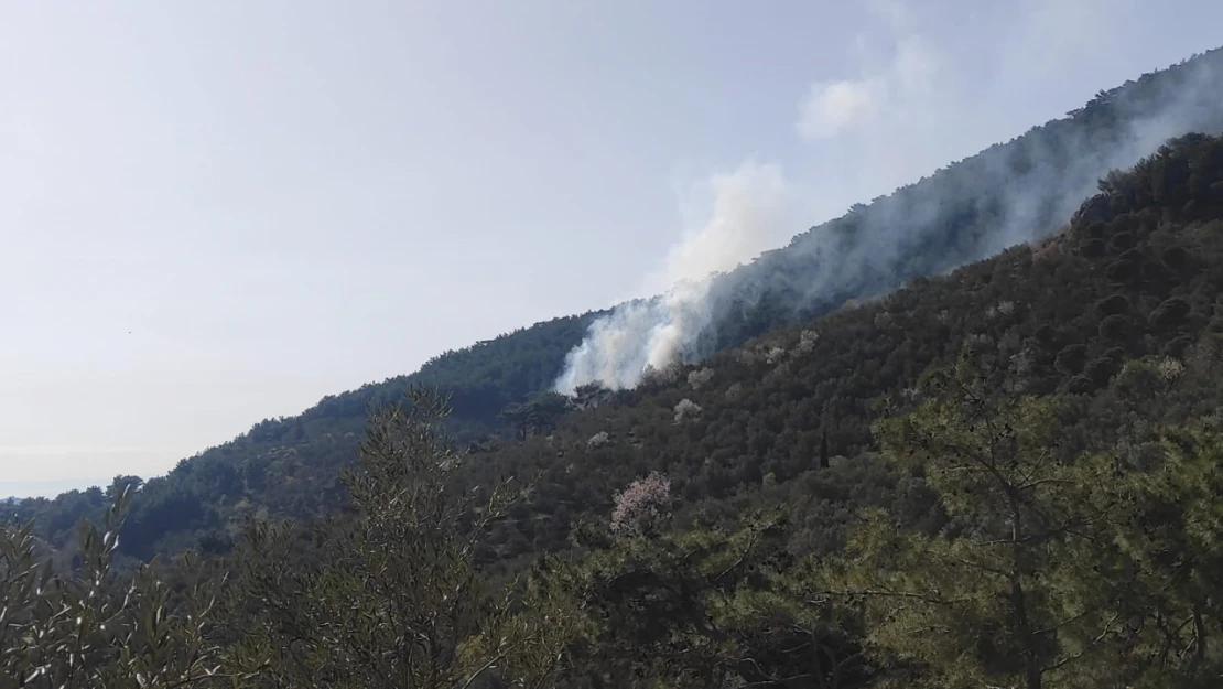 Kazdağları'nda orman yangını