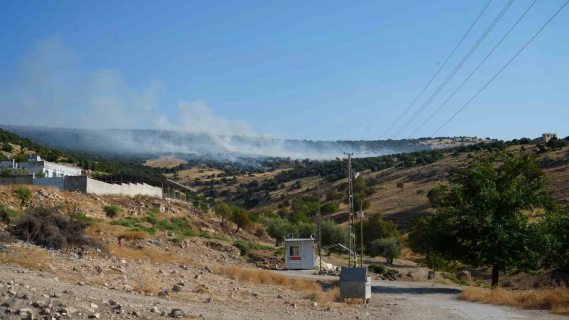 Kilis'te orman yangını: 50 dönüm arazi kül oldu