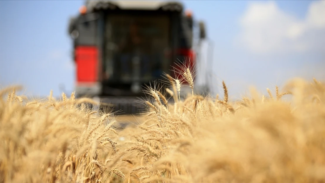 Küresel gıda fiyatları gerilemesini sürdürdü