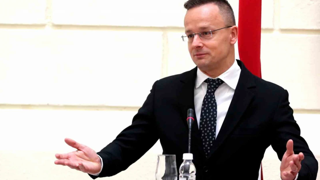 Macaristan, İsveç'in NATO üyeliği konusunda Türkiye ile birlikte hareket edecek
