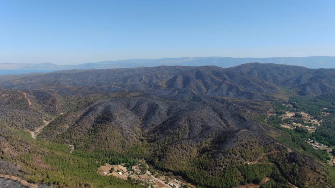 Marmaris'te yanan yerler havadan görüntülendi