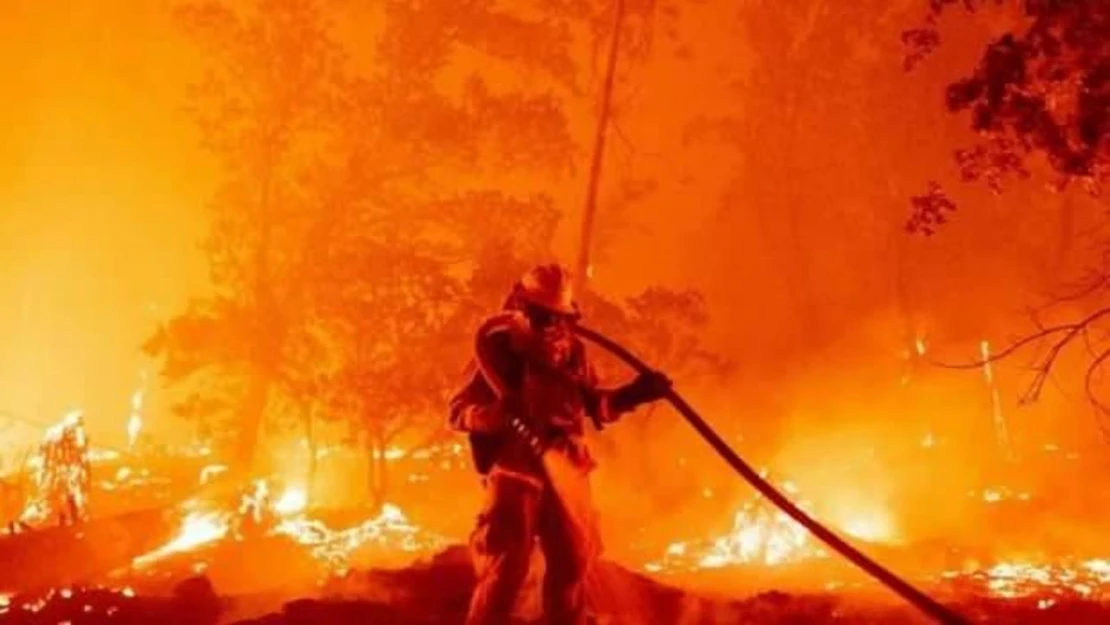 Meksika'nın 15 eyaletinde 58 orman yangını
