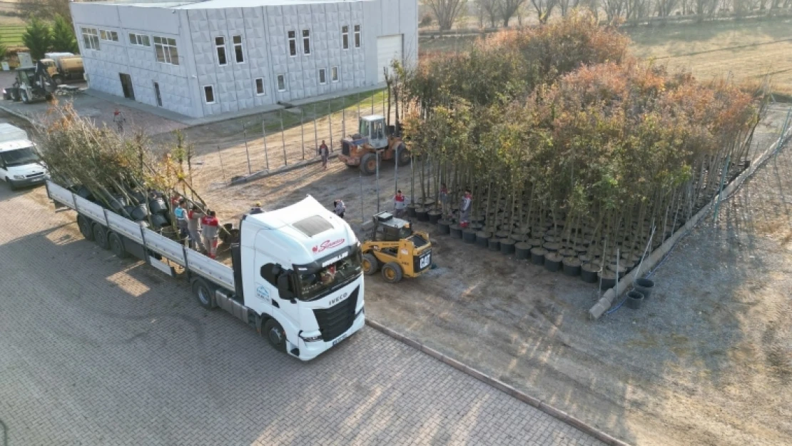 Melikgazi Belediyesi İlçeyi Ağaçlandırmada Zamandan Kazanıyor