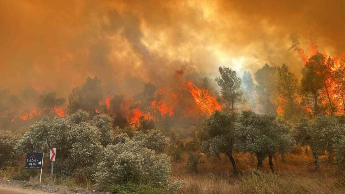 Milas'ta orman yangını başladı