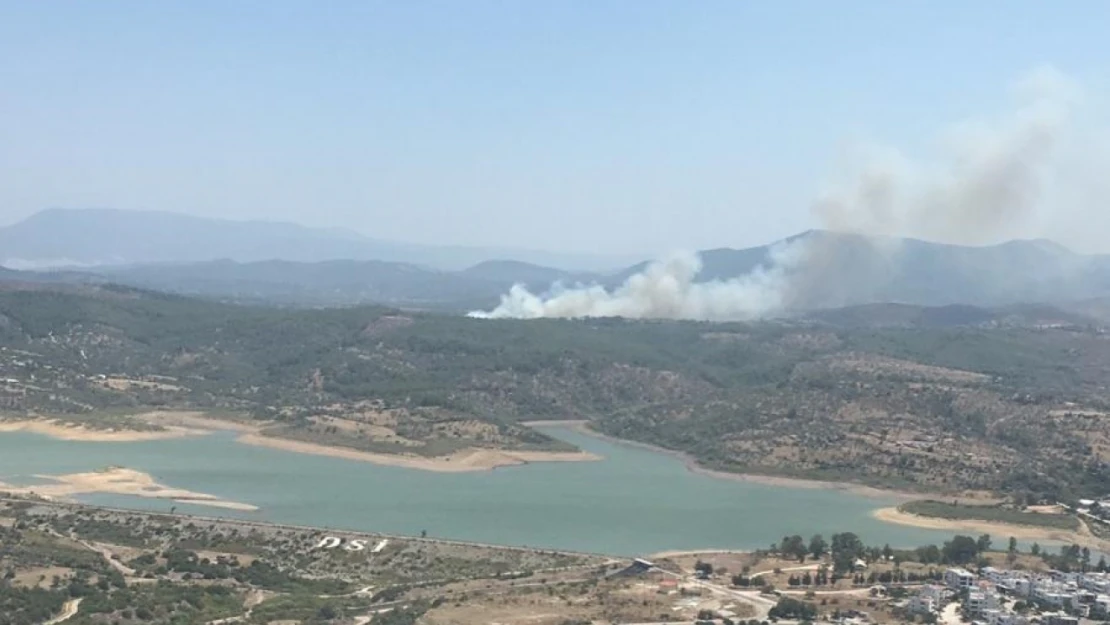 Milas'taki orman yangını kontrol altına alındı