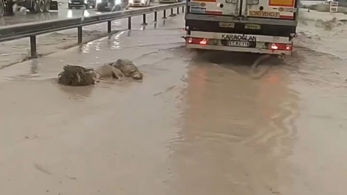 Niğde'de etkili olan dolu tarım arazilerini vurdu