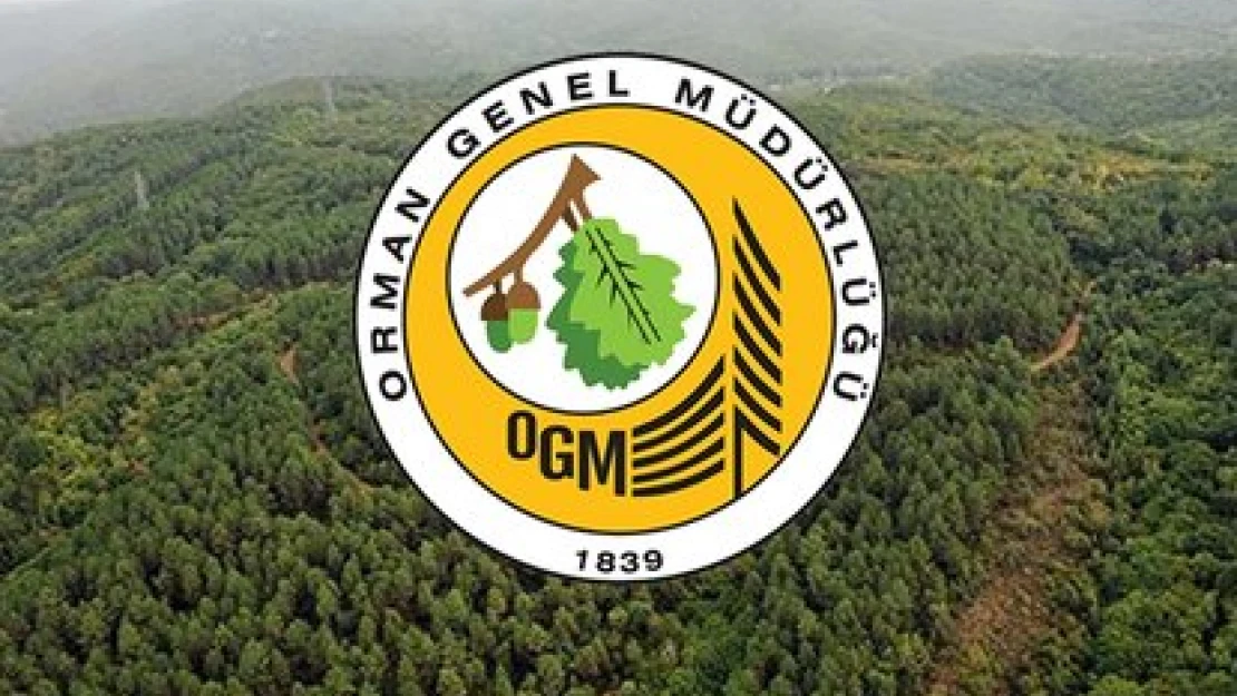 Orman Genel Müdürlüğüne bin 613 personel alınacak