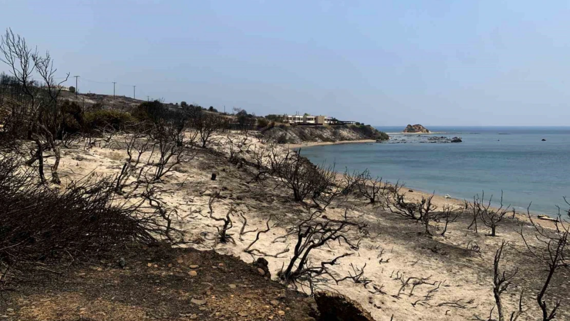 Rodos'taki orman yangını 6 gündür devam ediyor: 19 bin kişi tahliye edildi