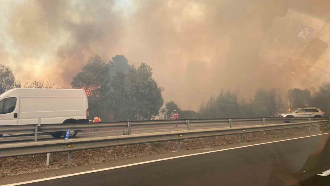 Şili'deki orman yangınlarında 10 kişi öldü, OHAL ilan edildi