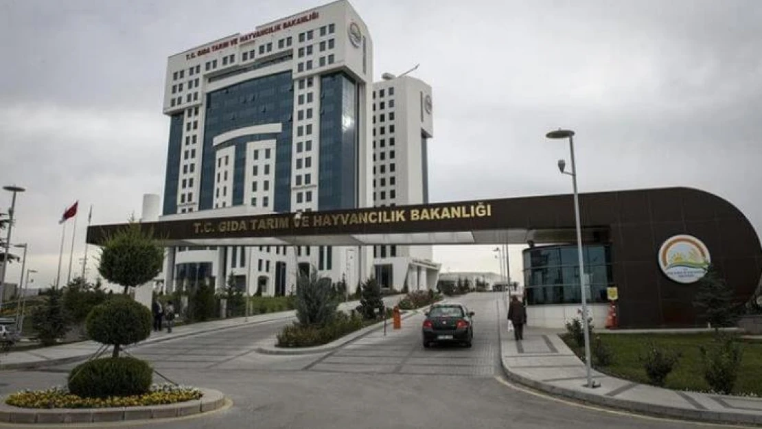 Singapur'da Türk baharat markasına ait ürünlerin toplatıldığı iddialarına ilişkin Bakanlıktan açıklama