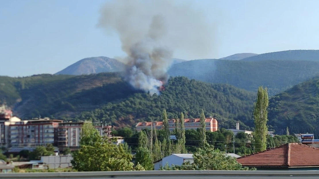 Soma'daki orman yangınına müdahale devam ediyor