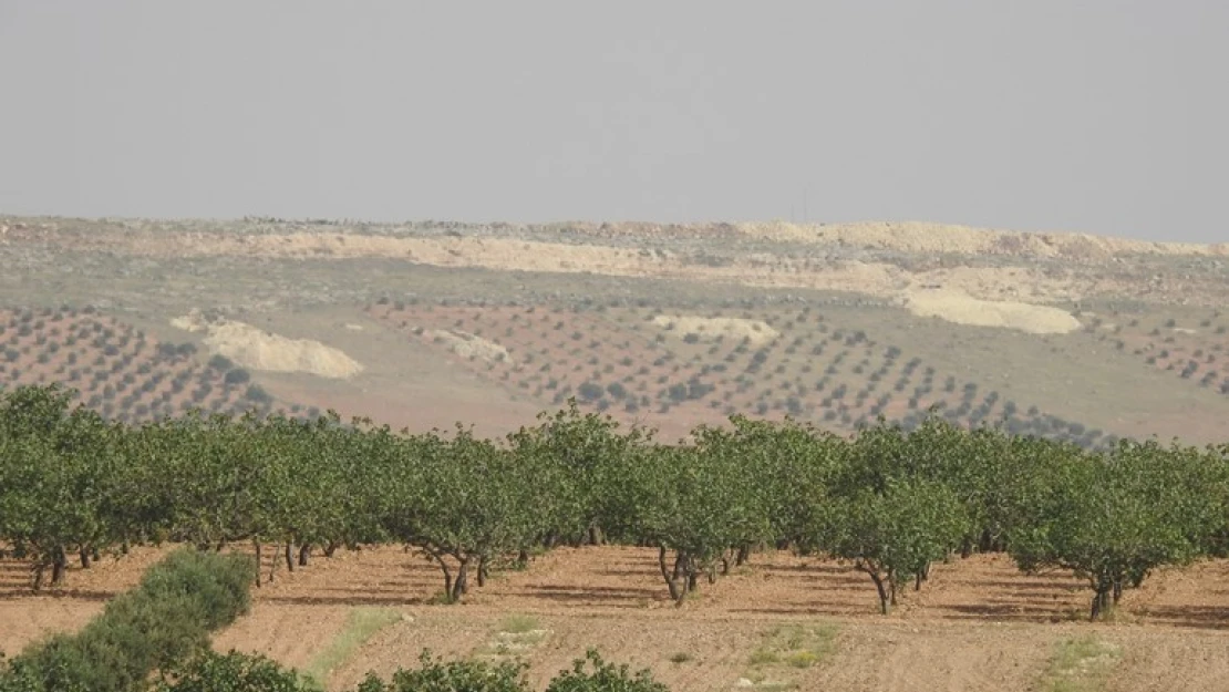 Suriye'de, YPG/PKK'lı teröristlerin cirit attığı mevziler boş kaldı