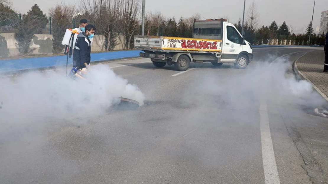 Talas'ta sinek ve haşerata erken önlem