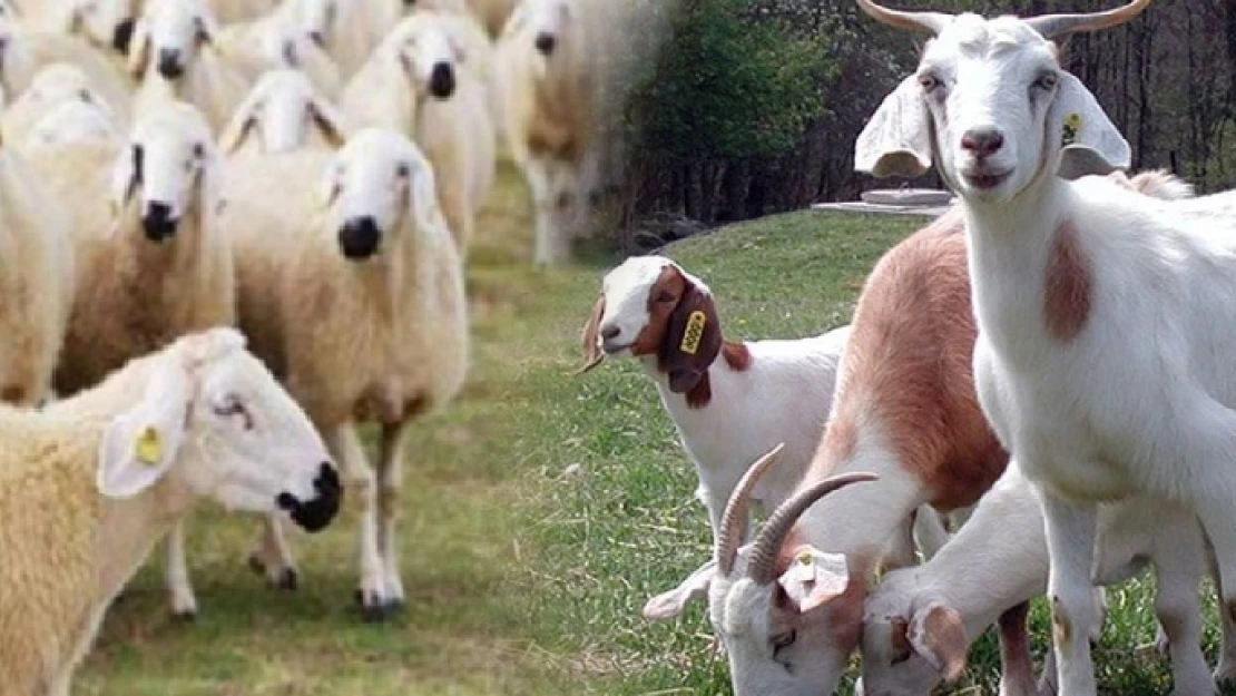 Tarımda yeni bir dönem