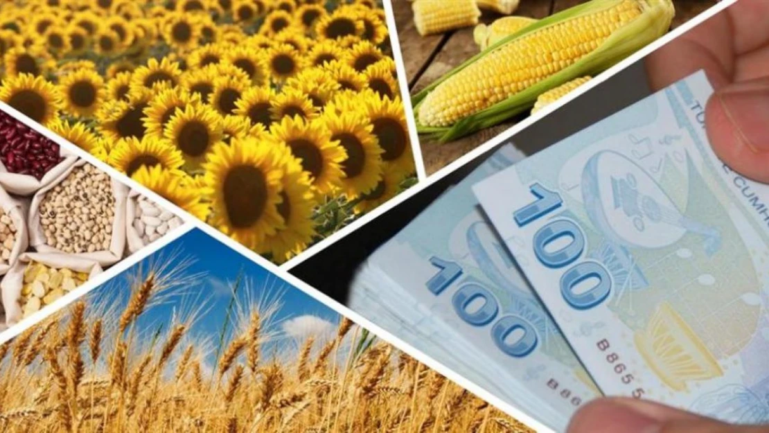 Tarımsal destekleme bütçemizi 54 milyar liraya çıkarttık
