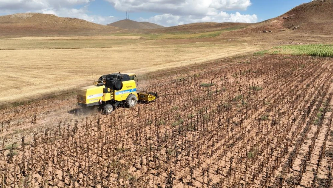 Tarımsal girdi fiyat endeksi yıllık yüzde 138,15, aylık yüzde 2,90 arttı