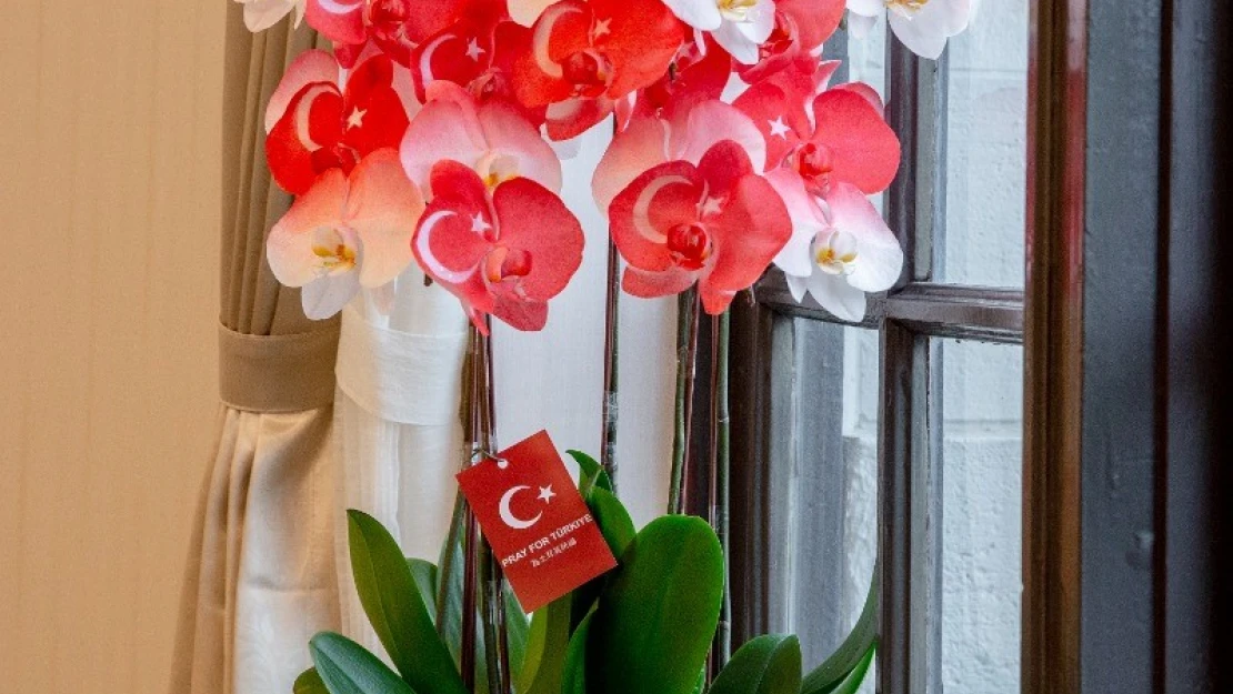 Tayvan liderinden Türkiye'ye destek mesajı