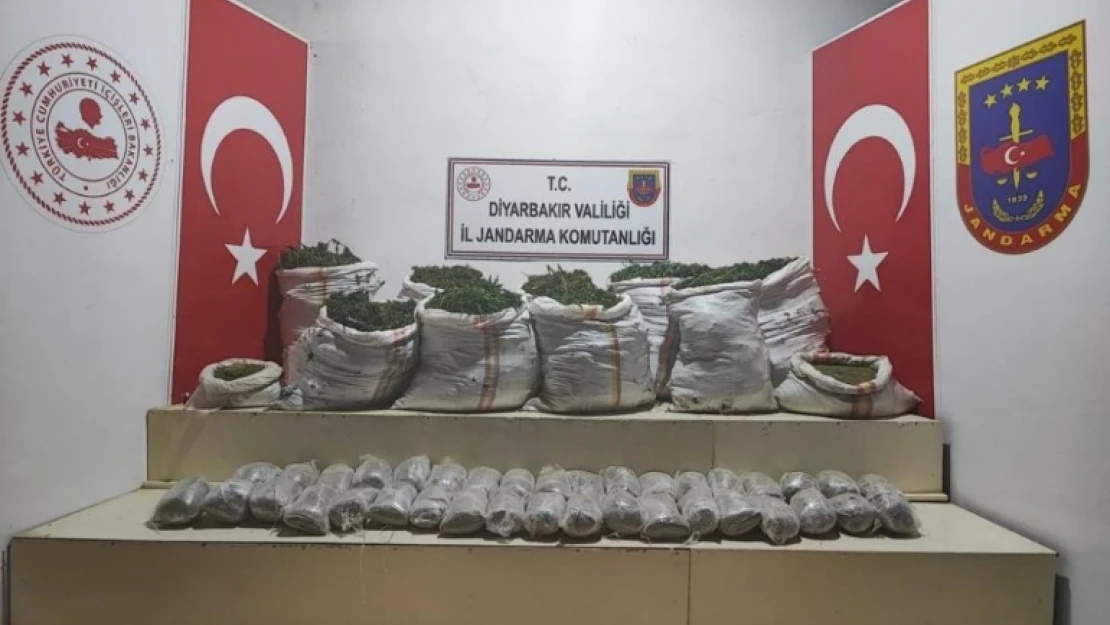 Terör örgütü PKK'nın finans kaynaklarına darbe