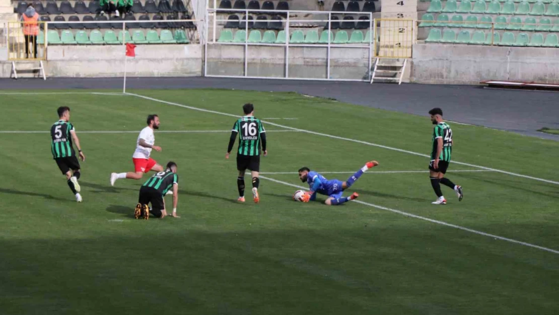 TFF 2. Lig: Denizlispor: 1 - Düzcespor: 2