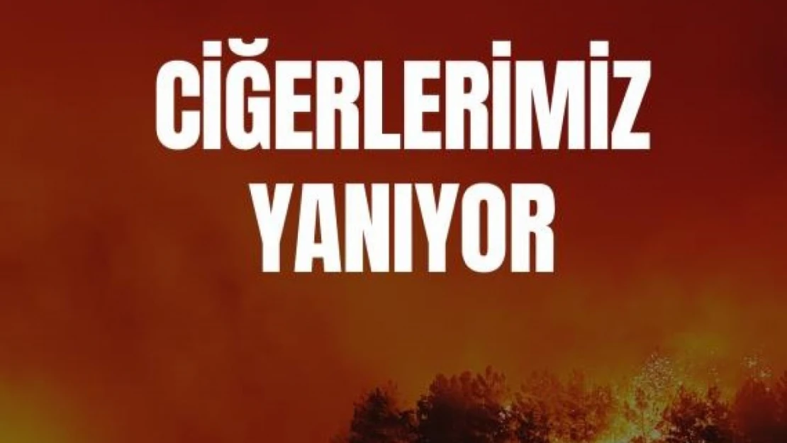 TFF'den orman yangınlarına ilişkin geçmiş olsun mesajı