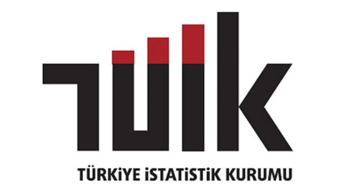 TÜİK 2021 yılı Yükseköğretim İstihdam Göstergeleri verisini açıkladı