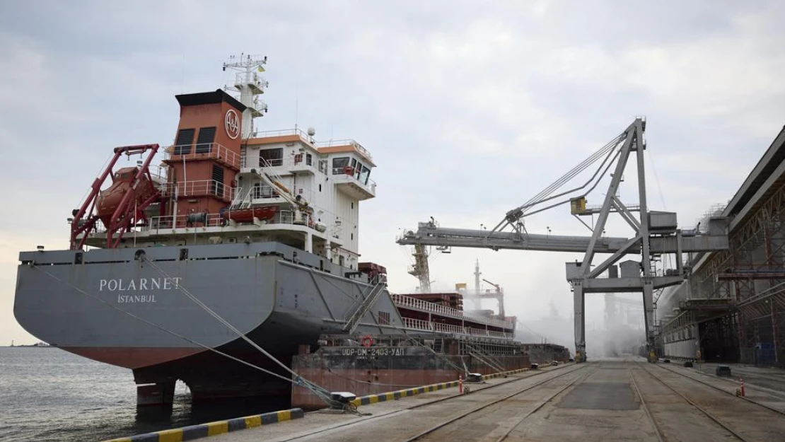 Ukrayna tahılını taşıyan ilk geminin 5-6 gün içinde Lübnan'a varması bekleniyor