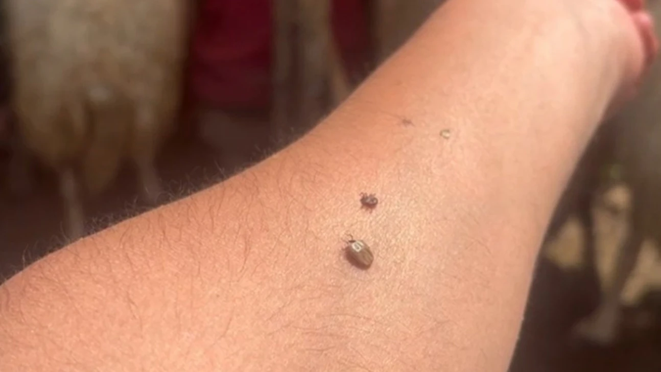 Kene uyarısı Kapalı giysileri tercih edin!