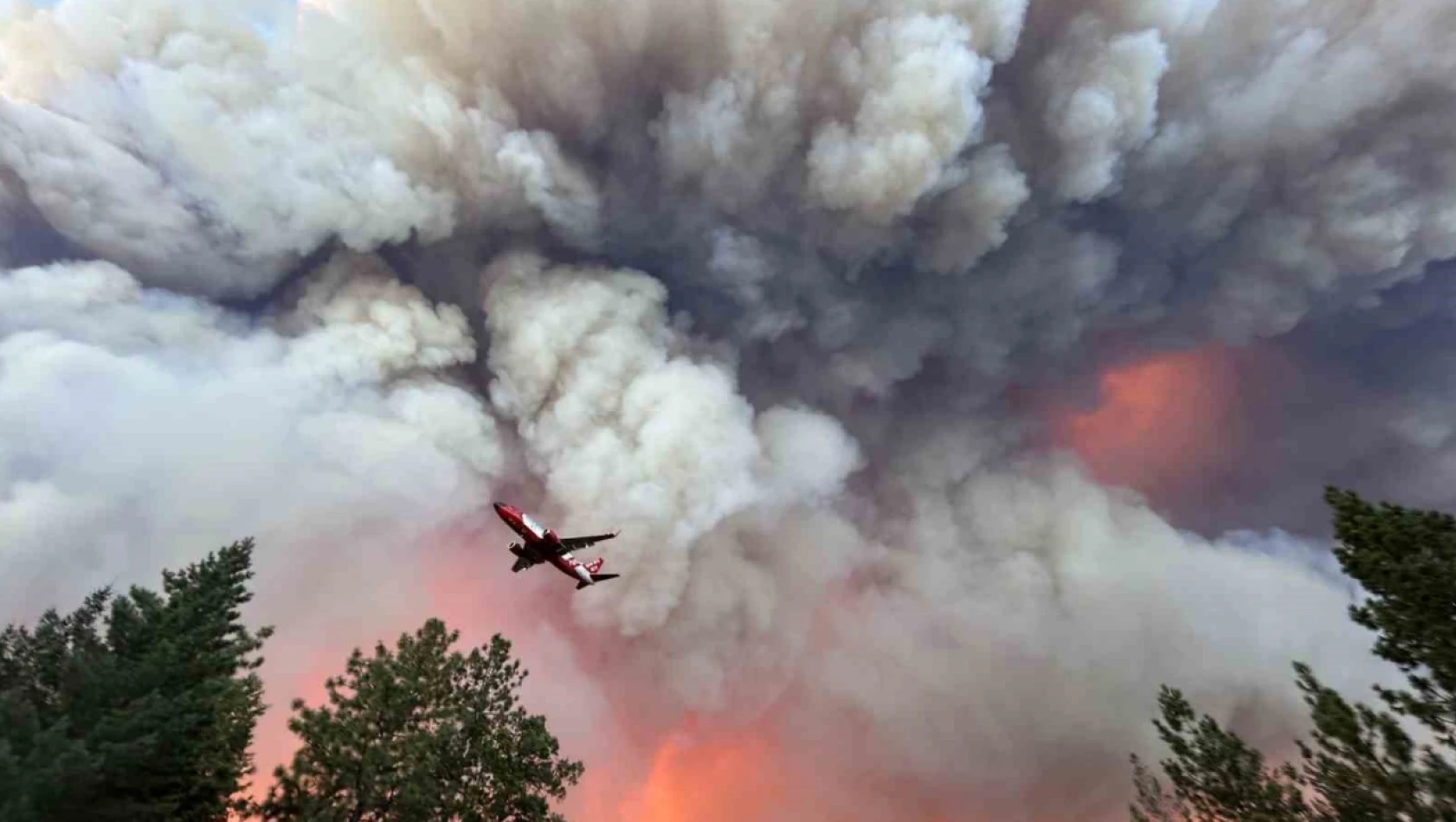 California'nın en büyük orman yangını: 145 bin dönümden fazla alan kül oldu