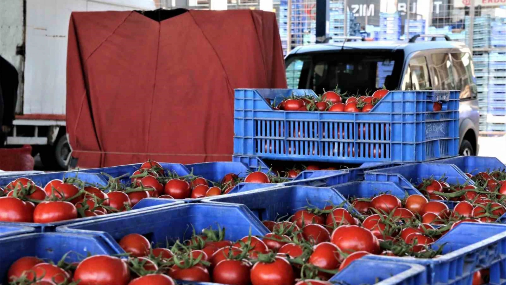 Antalya'da domates miktarı da fiyatı da arttı