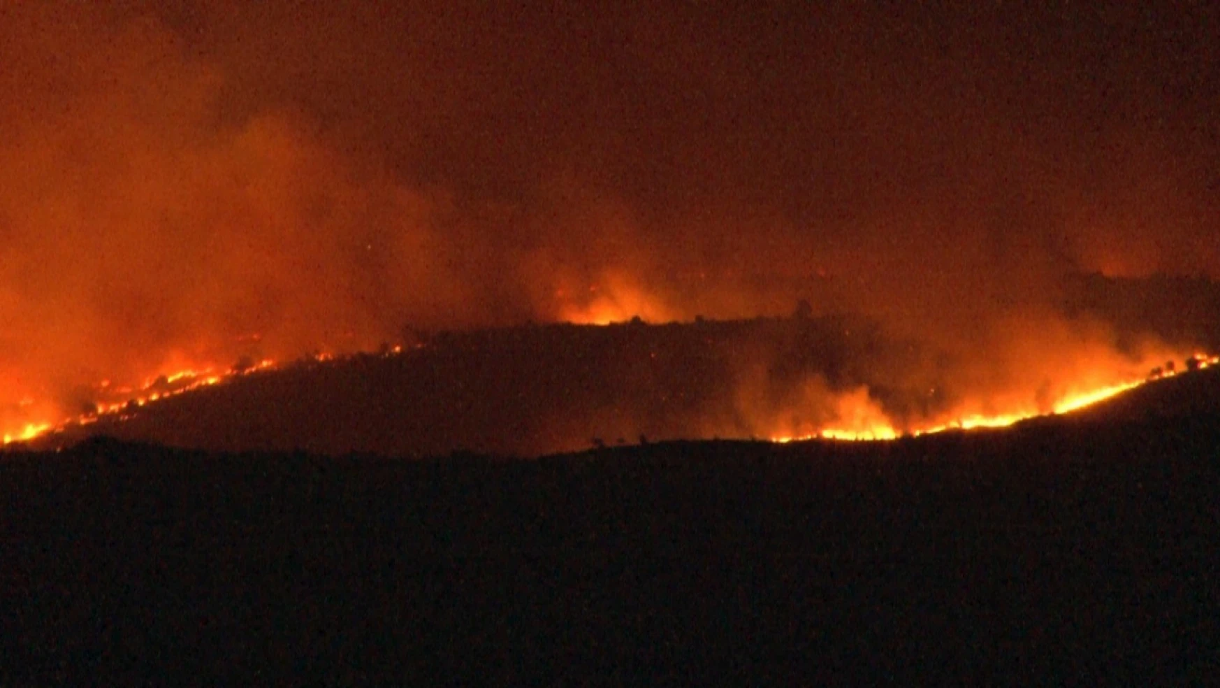 Bulgaristan-Türkiye sınırında orman yangını: Alevler Türkiye sınırına ilerliyor