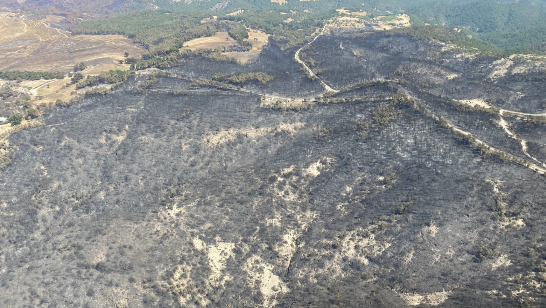 Çanakkale'de bu yıl 114 orman yangınında 4 bin 260 hektar ormanlık alan zarar gördü