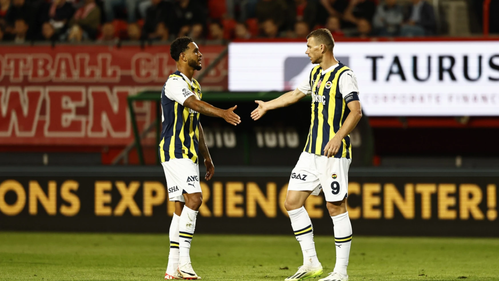Fenerbahçe, Konferans Ligi'nde