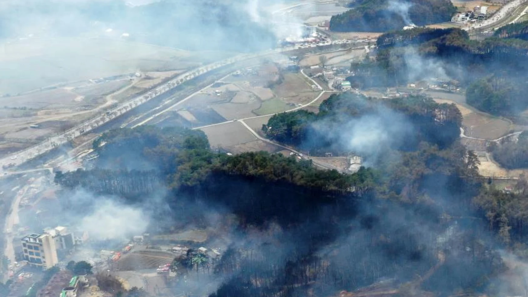 Güney Kore'deki orman yangını devam ediyor: 1 ölü, 3 yaralı