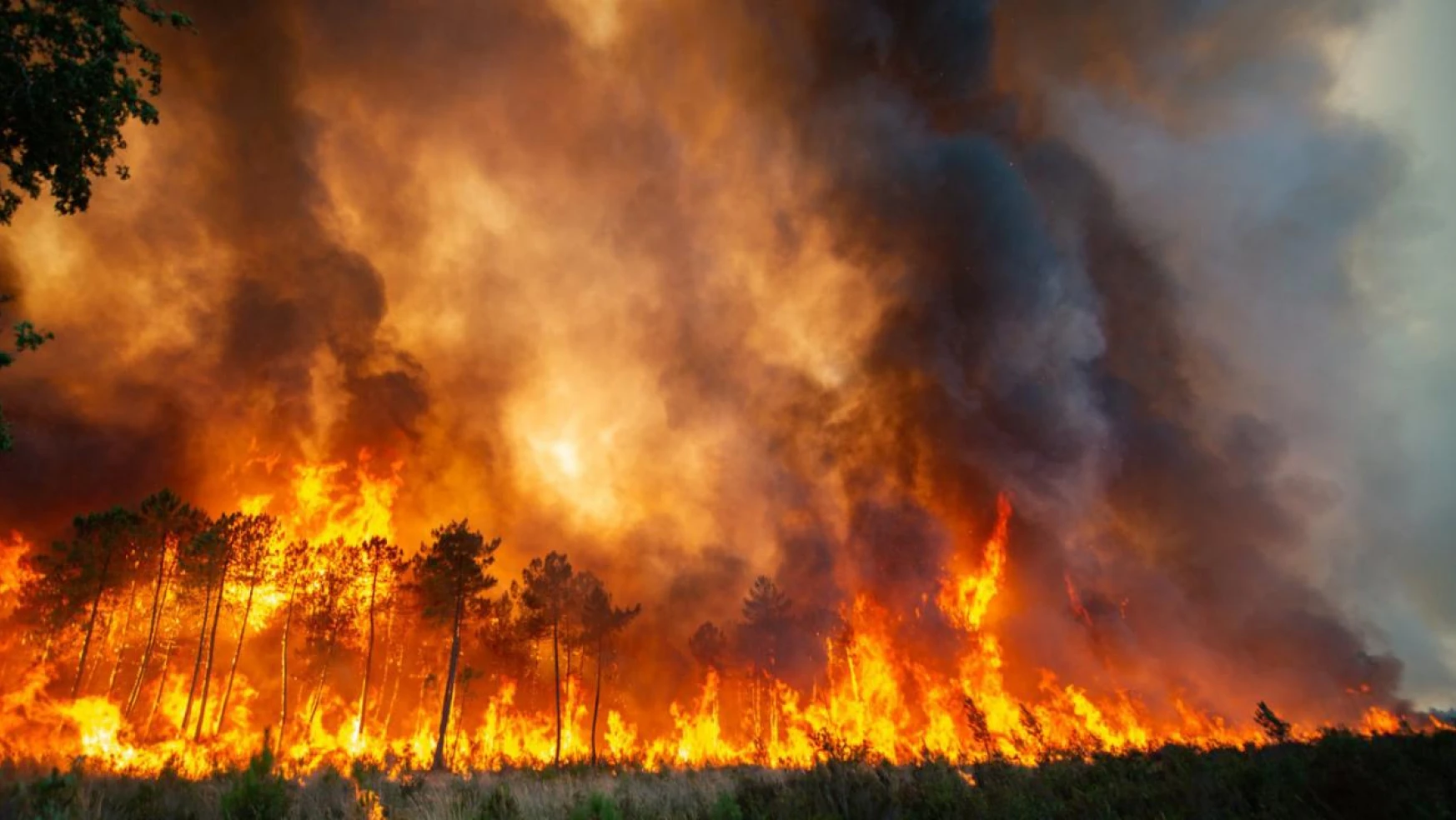 İspanya'nın Fransa sınırında orman yangını