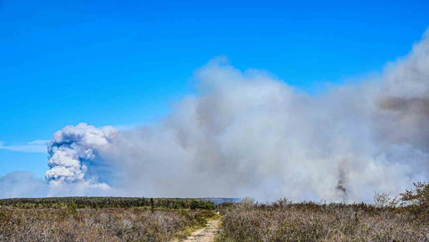 Kanada'da orman yangınlarının yaşandığı bölge tahliye ediliyor