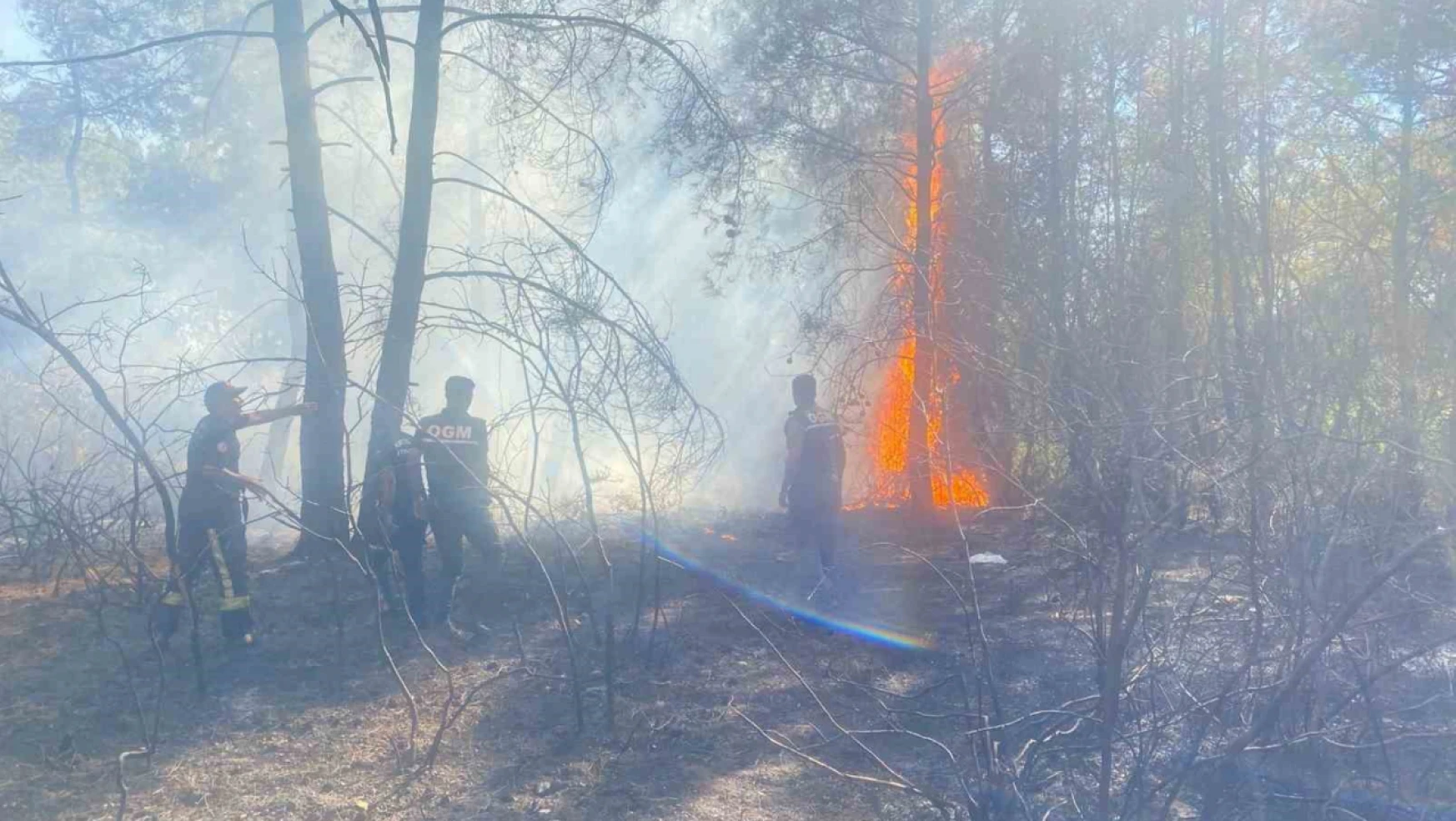 Manavgat'ta ormanlık alanda başlayan ikinci yangın söndürüldü