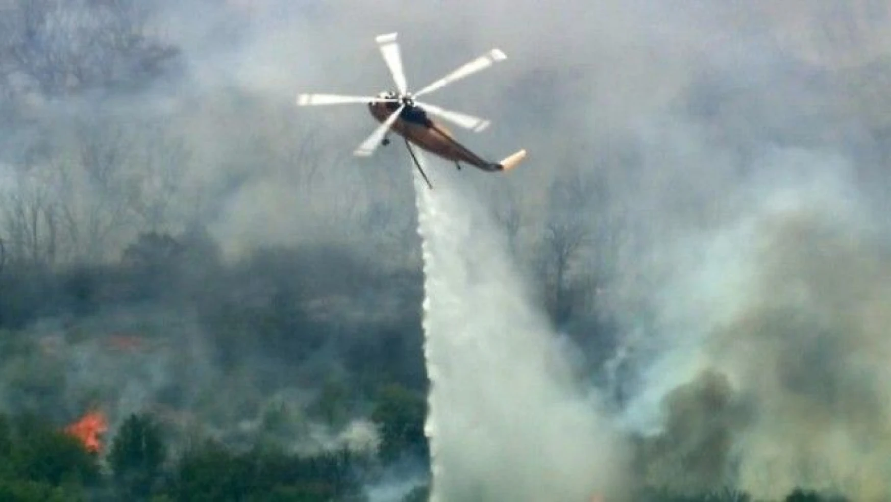Texas'ta orman yangını: 4 bin 428 dönüm alan yandı