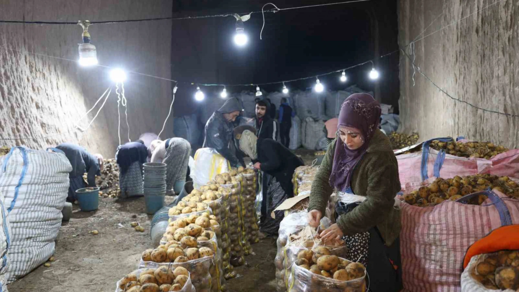 Türkiye'nin patates ihtiyacı Kapadokya'daki depolardan karşılanıyor
