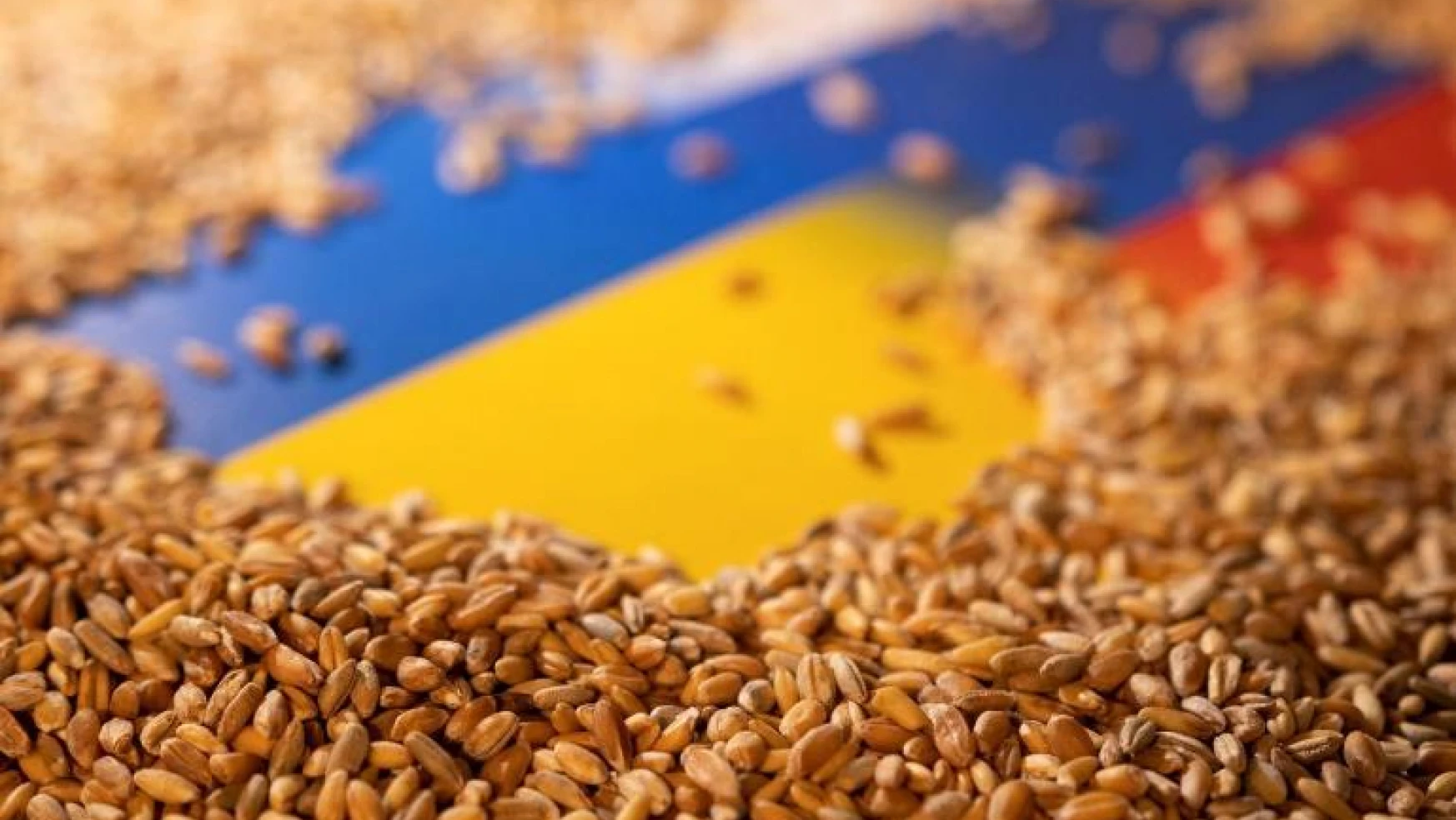 Ukrayna, Polonya'ya tahıl ihracatını durdurdu