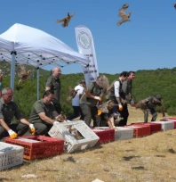 1 milyona yakın keklik doğaya salındı