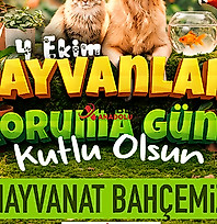 4 Ekim'de Kayserililere ücretsiz hayvanat bahçesi fırsatı