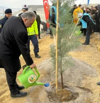 ALİ DAĞININ ZİRVESİNE 1111 FİDAN