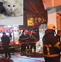 Kedilerin beslendiği evde yangın