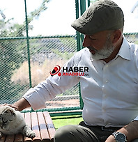 Küçük Dostlar Kedi Kasabası ziyaretçilerin ilgi odağı oldu