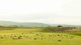 Trump'ın İskoçya'daki golf kulübünde Filistin eylemi: 'Gazze satılık değildir'