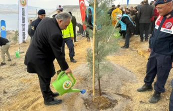 ALİ DAĞININ ZİRVESİNE 1111 FİDAN