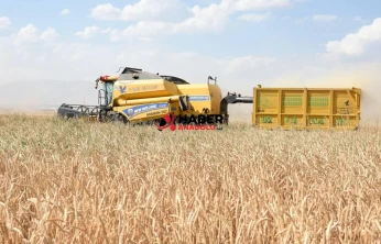 Girişimcilere 114,4 milyon lira hibe aktarıldı