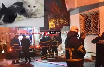 Kedilerin beslendiği evde yangın