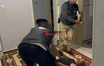Şirinler suç örgütüne operasyon: 32 gözaltı